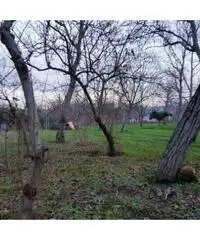 Vendita Agricolo in Via Caserta