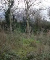 Vendita Edificabile residenziale in Via Casalicello, 22