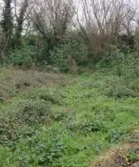 Vendita Edificabile residenziale in Via Casalicello, 22