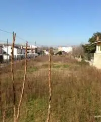 PALMA Via Trieste - Terreno 3.500 mq. zona D1