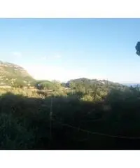 Colli Di San Pietro: Vendita Cinque locali in Via Bosco