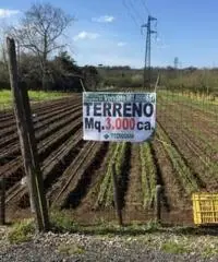 Vendita Edificabile residenziale in via fossa di valle, 89