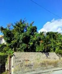 Vendita Cinque locali in Via Tenente Luigi Rossi