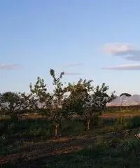 Terreno Agricolo in Vendita a Giugliano in Campania di 1 mq