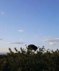 Terreno Agricolo in Vendita a Giugliano in Campania di 1 mq