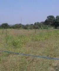 Vendita Agricolo in Via Campana