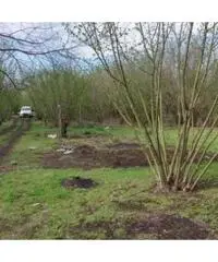 Vendita Agricolo in Via Trivio