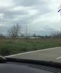 Vendita Agricolo in Strada Provinciale Santa Maria a Cubito Aversa