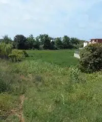 Lago Patria: Vendita Trilocale in Via Staffetta