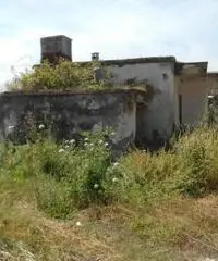 Lago Patria: Vendita Trilocale in Via Staffetta