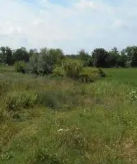 Lago Patria: Vendita Trilocale in Via Staffetta