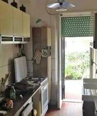 Lavinio-Lido di Enea: Vendita Bilocale in Via delle Meduse