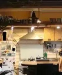 Lavinio-Lido di Enea: Vendita Bilocale in Viale Roma