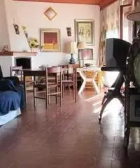 Lido Dei Pini: Vendita Villa in Via delle Azalee Lido Dei Pini: Vendita Villa in Via delle Azalee