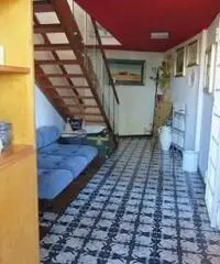 Lido Dei Pini: Vendita Villa in Via delle Azalee Lido Dei Pini: Vendita Villa in Via delle Azalee