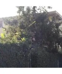 MARINA DI SAN NICOLA VIA SATURNO