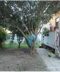 Rif: T3192 - ANZIO VILLA 90 MQ Rif: T3192 - ANZIO VILLA 90 MQ