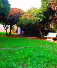 Vendita Trilocale in Viale delle Bougainvillae