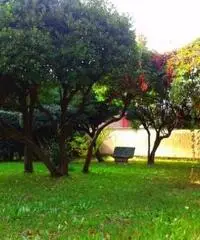 Vendita Trilocale in Viale delle Bougainvillae