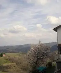 Rif: 21711044-449 - CASSINELLE ( AL ) : Casa indipendente su tre piani con terrazzo e ampio terreno Rif: 21711044-449 - CASSINELLE ( AL ) : Casa indipendente su tre piani con terrazzo e ampio terreno