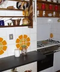 Rif: 21711044-449 - CASSINELLE ( AL ) : Casa indipendente su tre piani con terrazzo e ampio terreno Rif: 21711044-449 - CASSINELLE ( AL ) : Casa indipendente su tre piani con terrazzo e ampio terreno
