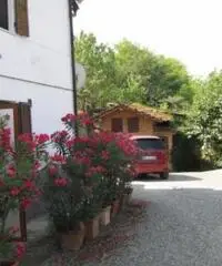 Rif: 21711196-23 - Sulla strada dei vini acquesi