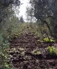 Vendita Villa in Strada Comunale Pentimelle