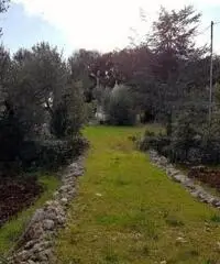 Vendita Villa in Strada Comunale Pentimelle