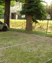 APPARTAMENTO AMPIO TRILOCALE