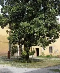 Stabile in Vendita a Montirone