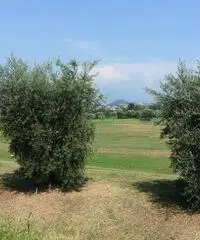 Soiano del Lago vendesi villa a schiera 4 vani 110 Mq