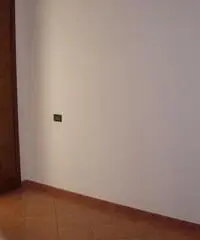 V000864 - Carpenedolo