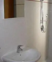 V000864 - Carpenedolo