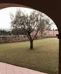 V000889 - Soiano del lago