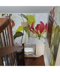 Villa a schiera 6vani Aci Bonaccorsi centro