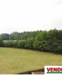 Vendita Trilocale in Via Monterubiano