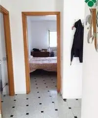 Vendita Trilocale in via cecco angiolieri, 36