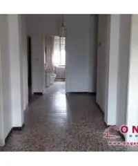 Cologna: Vendita Casa indipendente in via Pampano Brusantina