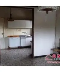 Cologna: Vendita Casa indipendente in via Pampano Brusantina