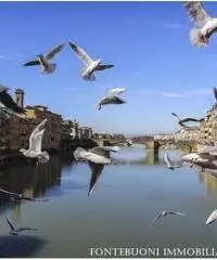 APPARTAMENTI - CIVILE ABITAZIONE - FIRENZE