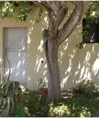 Appartamento in vendita a Empoli 55 mq  Rif: 453484