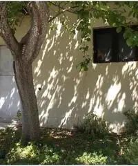 Appartamento in vendita a Empoli 55 mq  Rif: 453484