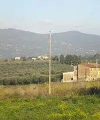 Colonica/casale in vendita a Cerreto Guidi 170 mq  Rif: 435371 Colonica/casale in vendita a Cerreto Guidi 170 mq  Rif: 435371