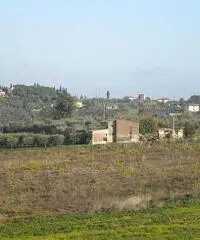 Colonica/casale in vendita a Cerreto Guidi 170 mq  Rif: 435371 Colonica/casale in vendita a Cerreto Guidi 170 mq  Rif: 435371