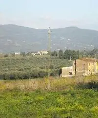 Colonica/casale in vendita a Cerreto Guidi 170 mq  Rif: 435371 Colonica/casale in vendita a Cerreto Guidi 170 mq  Rif: 435371
