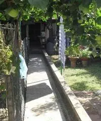 Terratetto in vendita a Empoli 120 mq  Rif: 315763