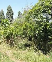 Terratetto in vendita a Empoli 300 mq  Rif: 377069