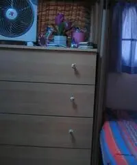 Roulotte roller 5 posti Roulotte roller 5 posti