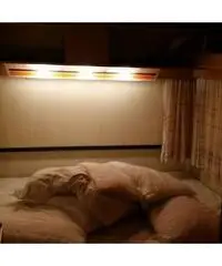 Roulotte stanziale con veranda accessoriata