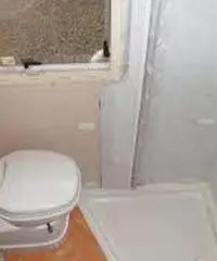 Adriatik koral Adriatik koral